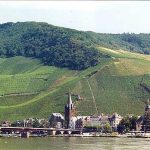 The steep slate slopes of the Bernkasteler Doctor vineyard overlooking the Mosel River, where some of Germany’s finest Rieslings are born.