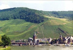 The steep slate slopes of the Bernkasteler Doctor vineyard overlooking the Mosel River, where some of Germany’s finest Rieslings are born.