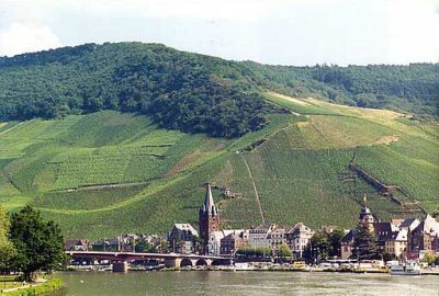 The steep slate slopes of the Bernkasteler Doctor vineyard overlooking the Mosel River, where some of Germany’s finest Rieslings are born.