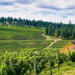 Sage Hills Vineyard Estate (Summerland, BC): A Blend of Luxury, Sustainability & Wine